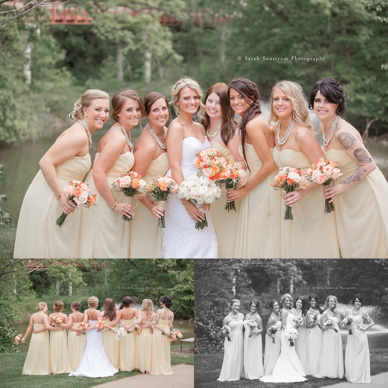 Quad City Botanical Center Wedding + Hotel Blackhawk Wedding Wesner