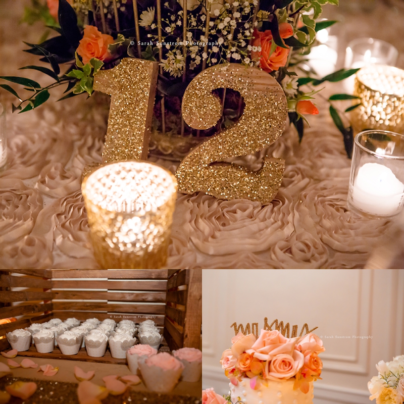 Quad City Botanical Center Wedding + Hotel Blackhawk Wedding Wesner